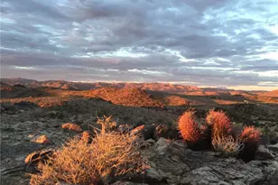 63465 Belmont St, Joshua Tree, CA 92252 - Photo 21