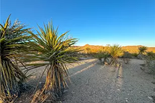 44080 Lanfair Rd, Needles, CA 92363 - Photo 49