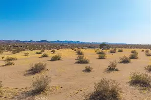 4773 Shawnee Trail, Landers, CA 92285 - Photo 59