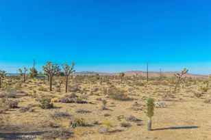 59057 Aberdeen Dr, Yucca Valley, CA 92284 - Photo 31