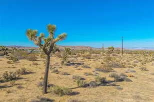 59057 Aberdeen Dr, Yucca Valley, CA 92284 - Photo 21