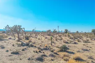 59057 Aberdeen Dr, Yucca Valley, CA 92284 - Photo 29