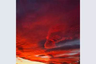 8138 Utah Trail, 29 Palms MCB, CA 92277 - Photo 21