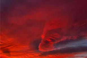 8138 Utah Trail, 29 Palms MCB, CA 92277 - Photo 21