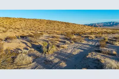 3025 Flamingo Avenue, Joshua Tree, CA 92252 - Photo 11