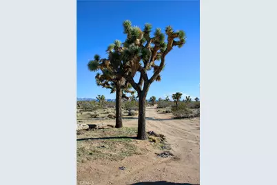 11 El Dorado Avenue, Yucca Valley, CA 92284 - Photo 15