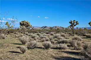 11 El Dorado Ave, Yucca Valley, CA 92284 - Photo 1
