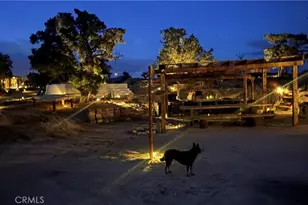 48317 Burns Canyon, Pioneertown, CA 92268 - Photo 33
