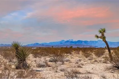 4444 Avenida La Candela, Joshua Tree, CA 92252 - Photo 11