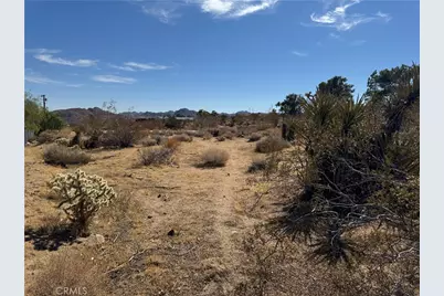 7217 Sunny Vista Road, Joshua Tree, CA 92252 - Photo 3