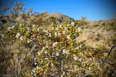 60255 Natoma Trail, Joshua Tree, CA 92252 - Photo 19