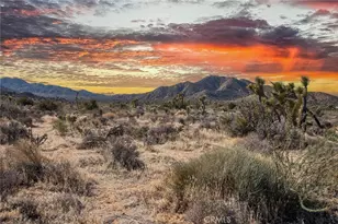 58648 San Marino, Yucca Valley, CA 92284 - Photo 43