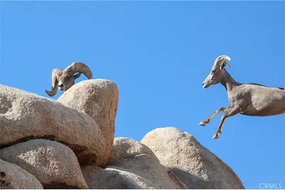 66075 Foothill, Joshua Tree, CA 92252 - Photo 45