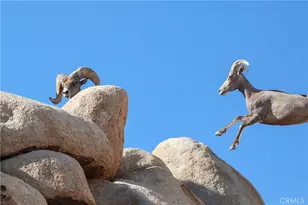 66075 Foothill, Joshua Tree, CA 92252 - Photo 45