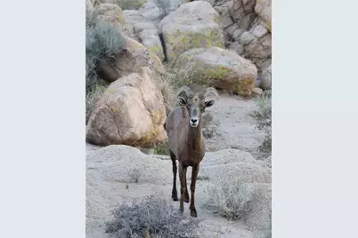 66075 Foothill, Joshua Tree, CA 92252 - Photo 47