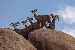 66075 Foothill, Joshua Tree, CA 92252 - Photo 43