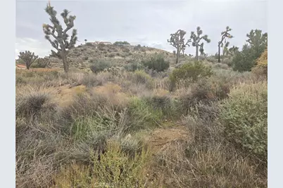 54777 Twentynine Palms Highway, Yucca Valley, CA 92284 - Photo 1