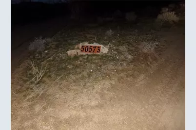 50573 Cholla, Johnson Valley, CA 92285 - Photo 3