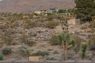 8825 Lilley Rd, Joshua Tree, CA 92252 - Photo 45