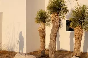 8825 Lilley Rd, Joshua Tree, CA 92252 - Photo 43