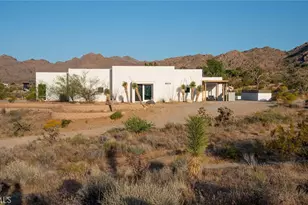 8825 Lilley Rd, Joshua Tree, CA 92252 - Photo 39