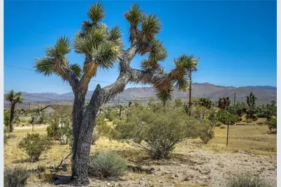 5407 Paradise View Road, Yucca Valley, CA 92284 - Photo 35