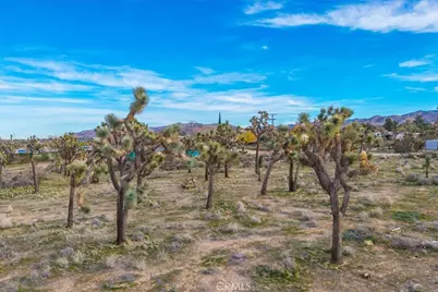 8129 Stardust, Yucca Valley, CA 92284 - Photo 5