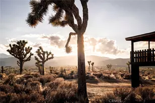 2680 Vine, Pioneertown, CA 92268 - Photo 61