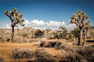 2680 Vine, Pioneertown, CA 92268 - Photo 53