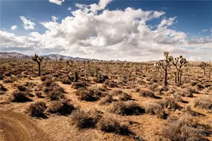 2680 Vine, Pioneertown, CA 92268 - Photo 41