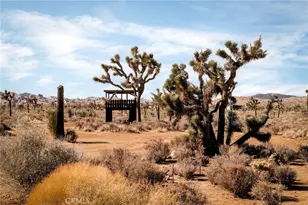 2680 Vine, Pioneertown, CA 92268 - Photo 59