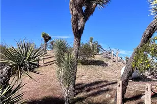 5855 Carmelita, Yucca Valley, CA 92284 - Photo 49