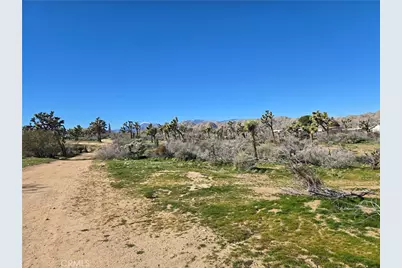 7484 Palm Avenue, Yucca Valley, CA 92284 - Photo 11