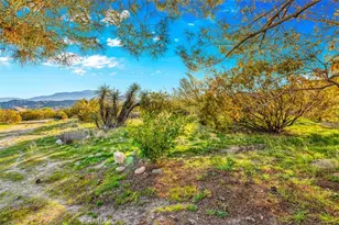 50310 Ash, Morongo Valley, CA 92256 - Photo 13