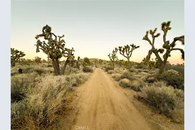 1352 Orion Trail, Pioneertown, CA 92268 - Photo 27