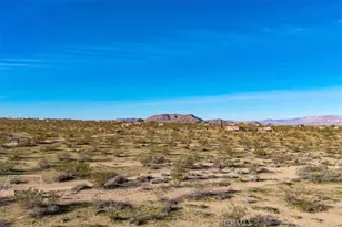 437 Mallow Rd, Landers, CA 92285 - Photo 43