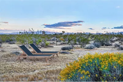 437 Mallow Road, Landers, CA 92285 - Photo 45
