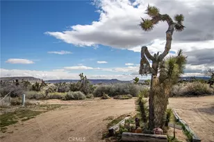 2863 Ox Yoke, Pioneertown, CA 92268 - Photo 43
