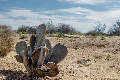 55875 Desideria Drive, Landers, CA 92285 - Photo 17