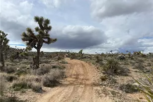 57300 Sunway, Yucca Valley, CA 92284 - Photo 1