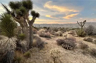 55370 Bunny Rd, Yucca Valley, CA 92284 - Photo 1