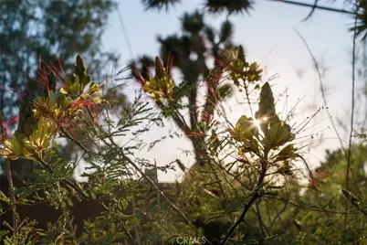 7422 Joshua Lane, Yucca Valley, CA 92284 - Photo 47