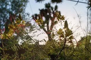 7422 Joshua Ln, Yucca Valley, CA 92284 - Photo 47