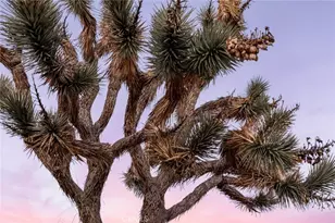 7422 Joshua Ln, Yucca Valley, CA 92284 - Photo 53