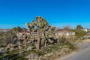 60432 Latham Trail, Joshua Tree, CA 92252 - Photo 1