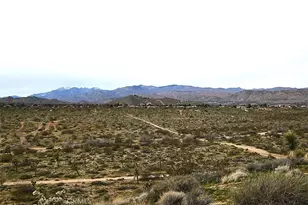 8425 Indio Ave, Yucca Valley, CA 92284 - Photo 13