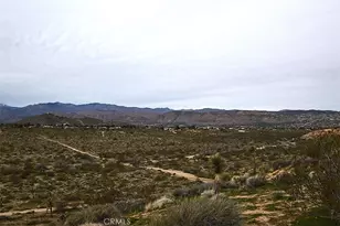 8425 Indio Ave, Yucca Valley, CA 92284 - Photo 15