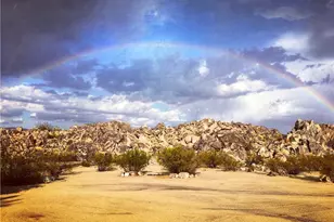 6875 Mt Shasta Ave, Joshua Tree, CA 92252 - Photo 59