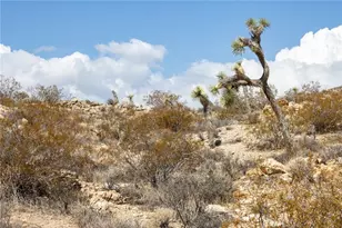 5280 Hilton Ave, Yucca Valley, CA 92284 - Photo 21