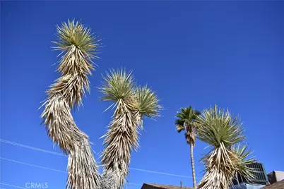 61611 Alta Loma Drive, Joshua Tree, CA 92252 - Photo 11